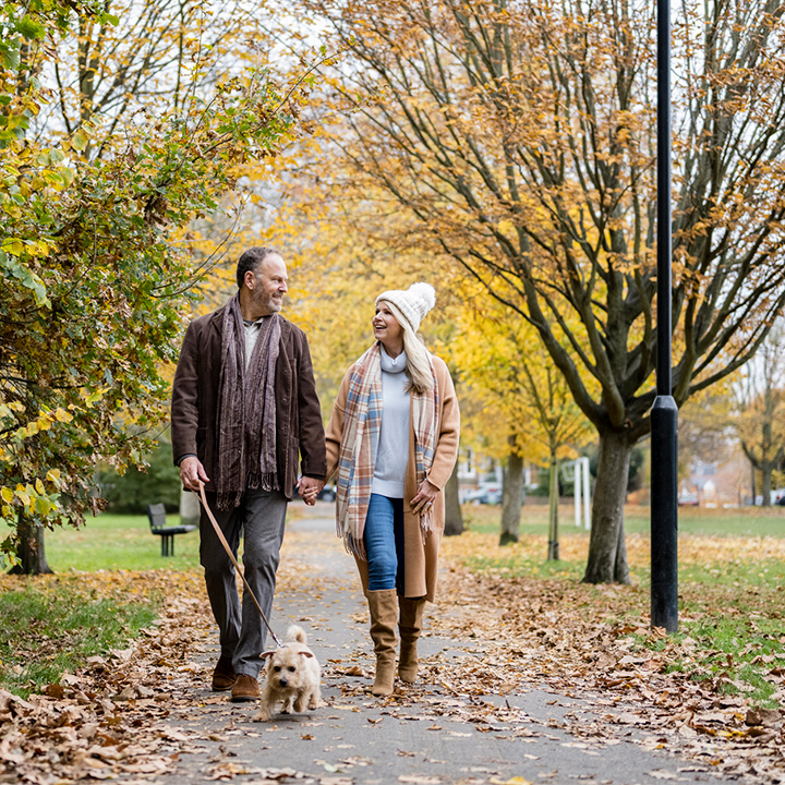 Wandelen met de hond in het park