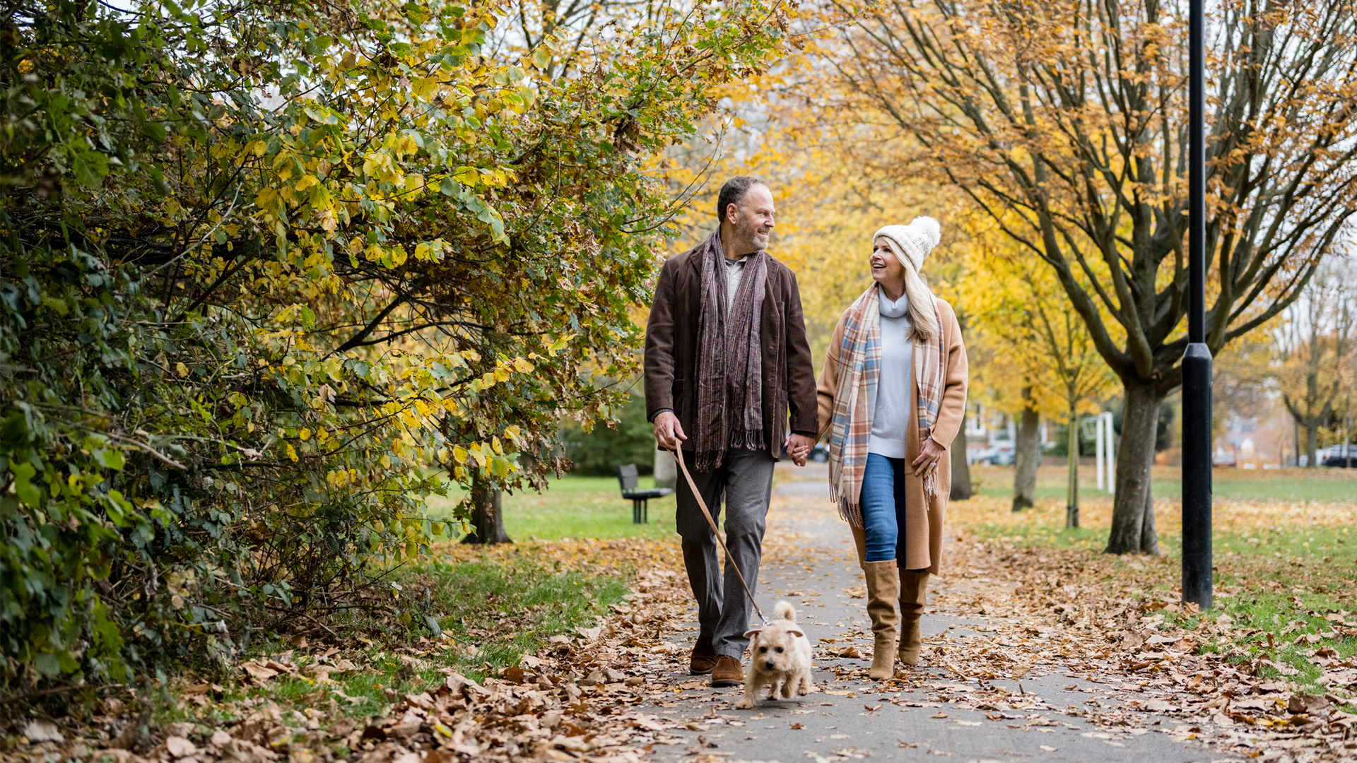Wandelen met de hond in het park